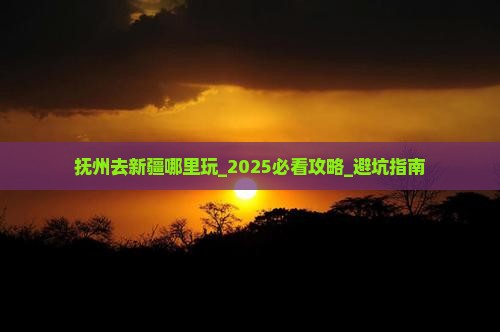 抚州去新疆哪里玩