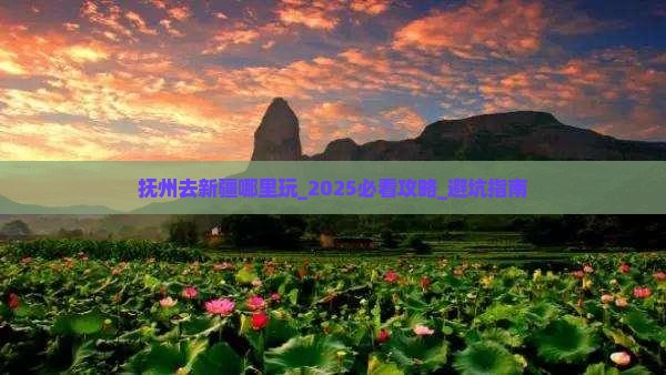 抚州去新疆哪里玩