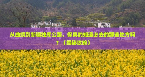 曲靖到新疆独库公路必去地