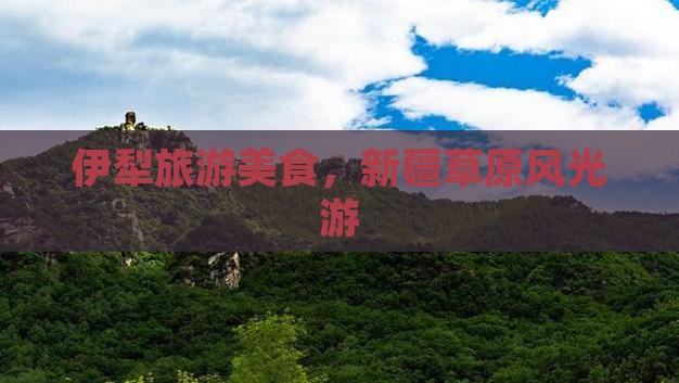 沧州去新疆伊犁大草原旅游小吃