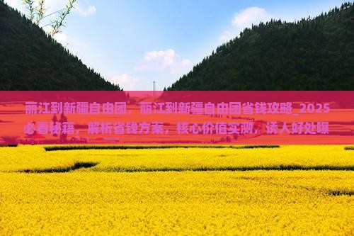 丽江到新疆自由团