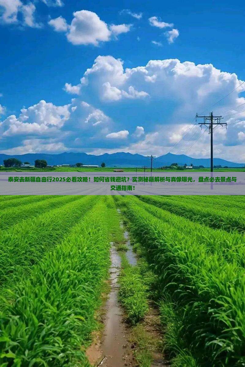 泰安去新疆自由行