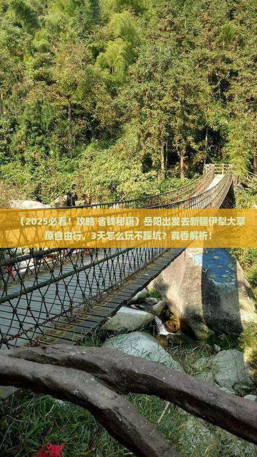 岳阳去新疆伊犁大草原自由行