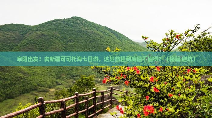 阜阳去新疆可可托海七日游