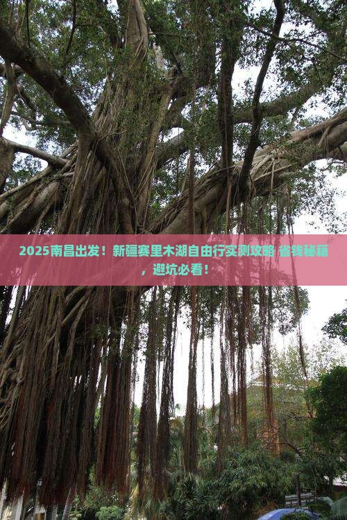 南昌去新疆赛里木湖自由行