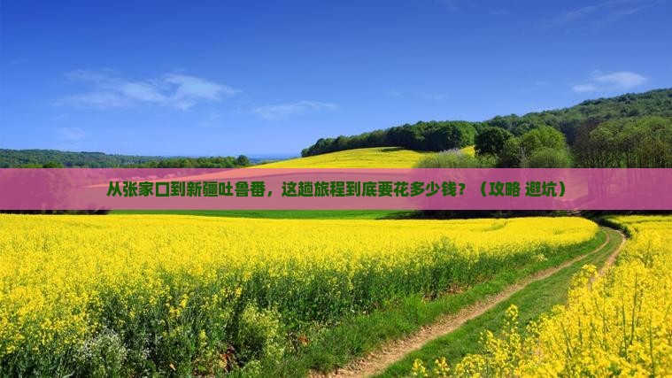 张家口到新疆吐鲁番门票