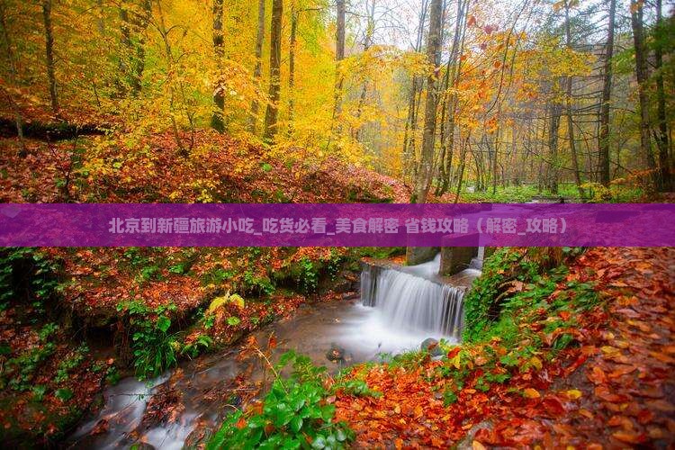 北京到新疆旅游小吃