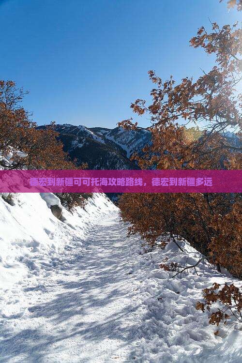 德宏到新疆可可托海攻略