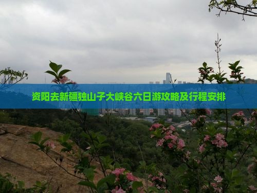 资阳去新疆独山子大峡谷六日游