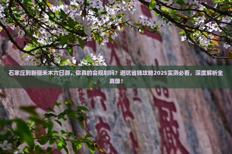 石家庄到新疆禾木六日游