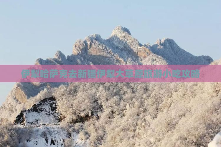伊犁哈萨克去新疆伊犁大草原旅游小吃
