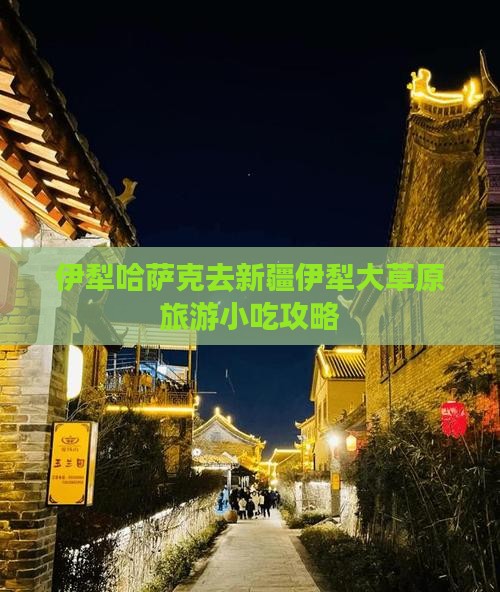 伊犁哈萨克去新疆伊犁大草原旅游小吃