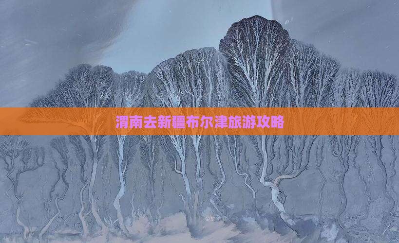 渭南去新疆布尔津一日