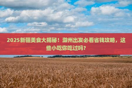 滁州到新疆旅游小吃