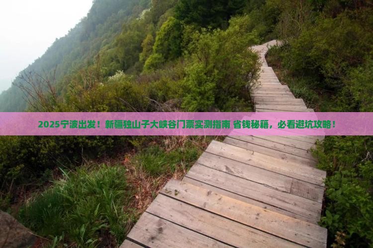 宁波去新疆独山子大峡谷门票