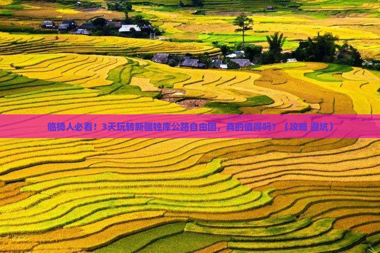 临猗去新疆独库公路自由团 临猗去新疆独库公路自由团