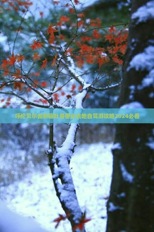 呼伦贝尔去新疆吐鲁番必去地