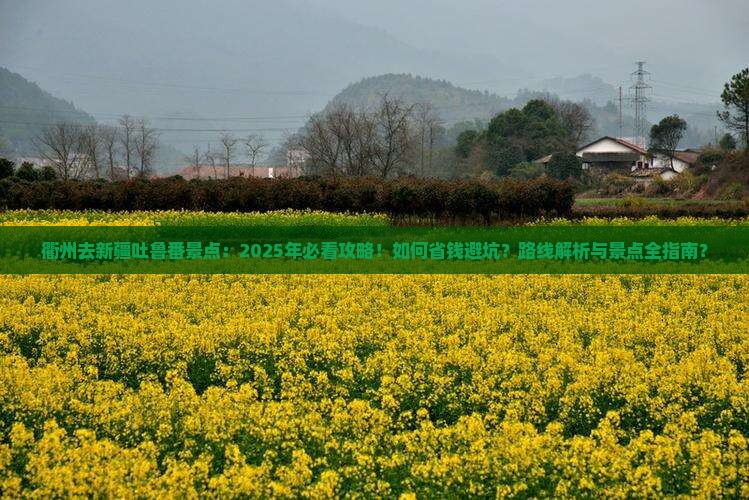 衢州去新疆吐鲁番景点