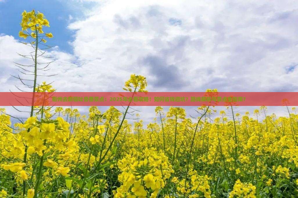 衢州去新疆吐鲁番景点