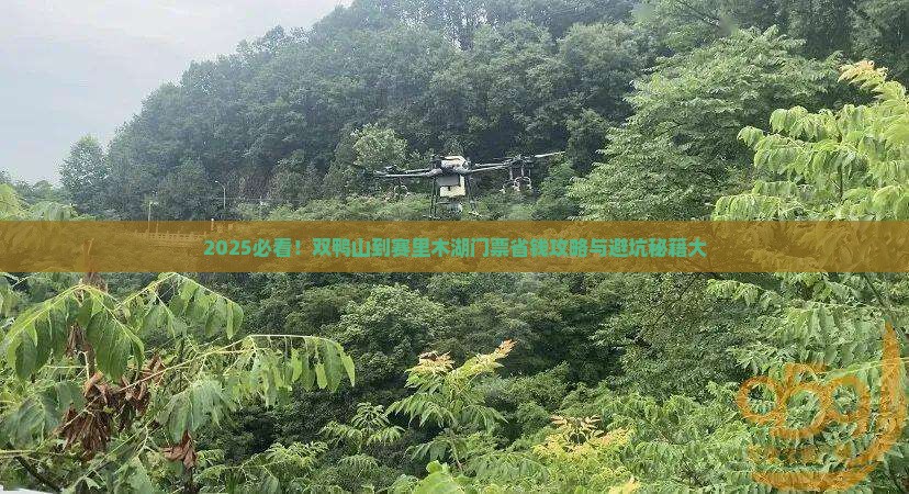 双鸭山到新疆赛里木湖门票