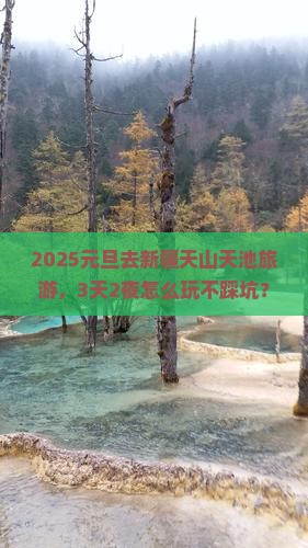 元旦到新疆天山天池旅游