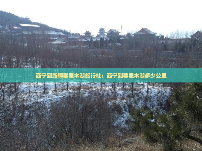西宁到新疆赛里木湖旅行社