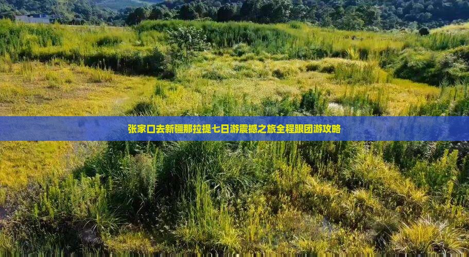 张家口去新疆那拉提七日游