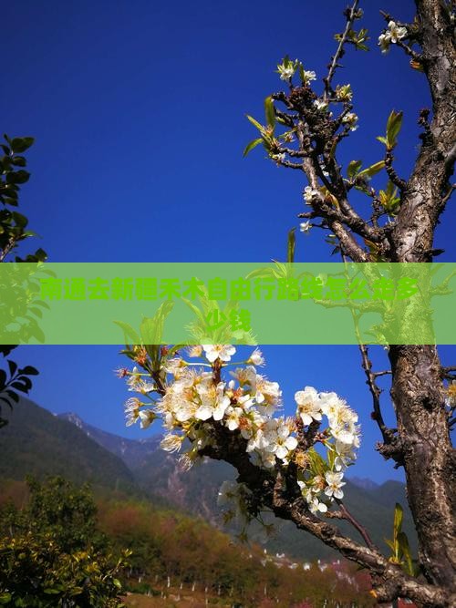 南通去新疆禾木自由行