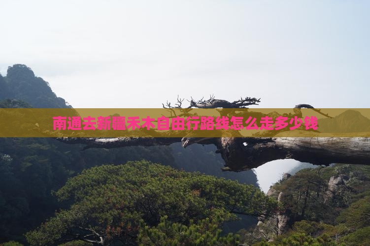 南通去新疆禾木自由行
