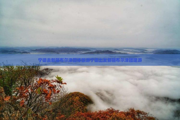 宁德去新疆布尔津团体旅游