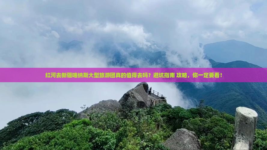 红河去新疆喀纳斯大型旅游团