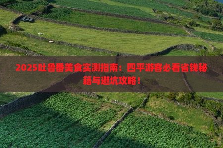四平去新疆吐鲁番旅游小吃