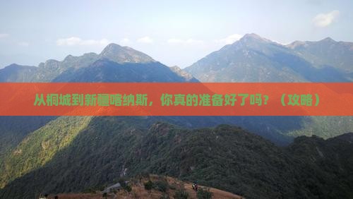 桐城到新疆喀纳斯自由行