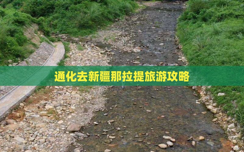通化去新疆那拉提旅游