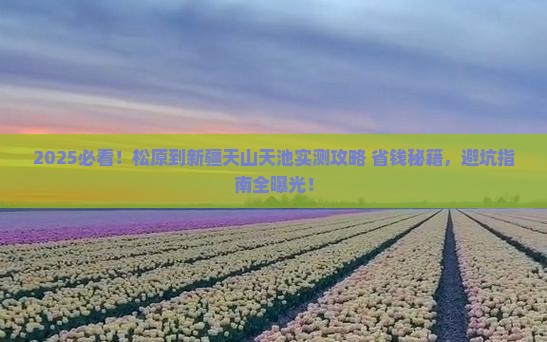 松原到新疆天山天池攻略