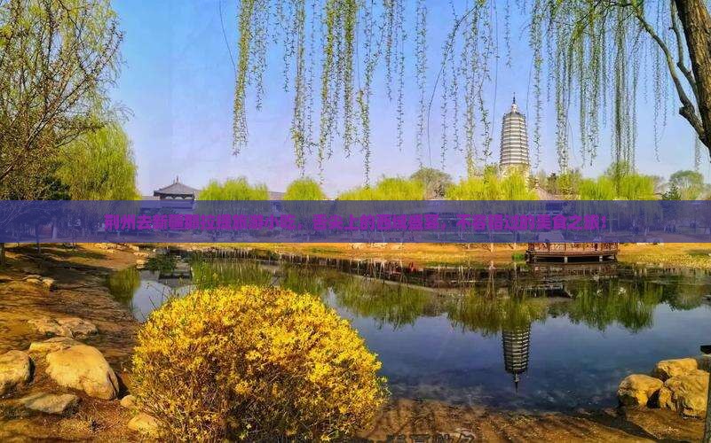 荆州去新疆那拉提旅游小吃