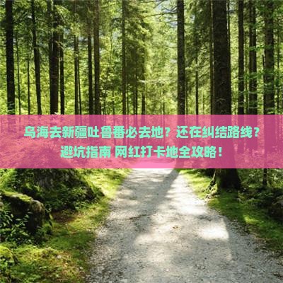 乌海去新疆吐鲁番必去地