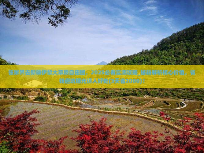 张家界去新疆伊犁大草原自由团
