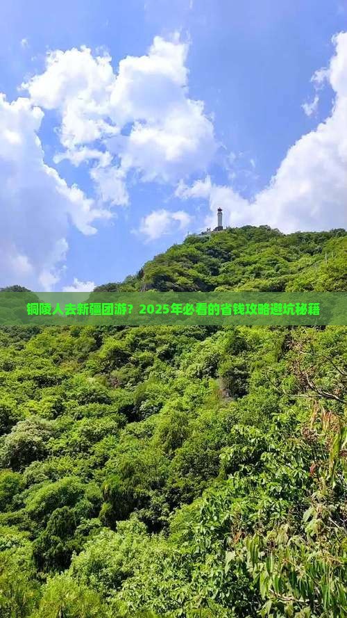 铜陵去新疆团体旅游