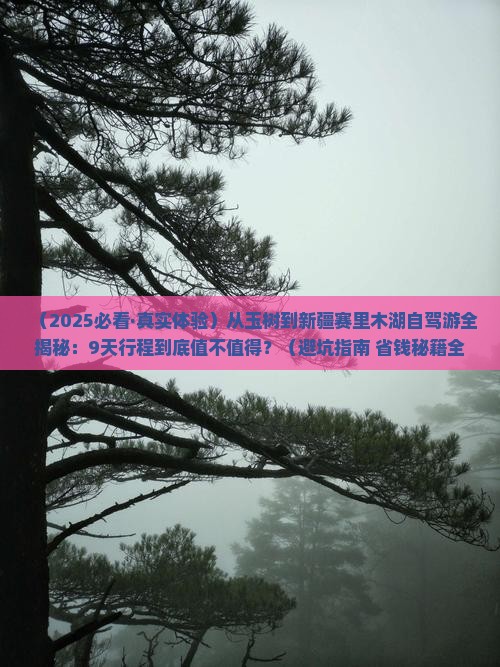 玉树去新疆赛里木湖旅游