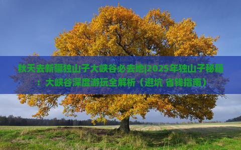 秋天去新疆独山子大峡谷必去地