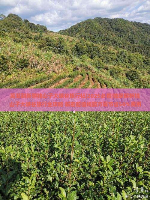 芜湖到新疆独山子大峡谷旅行社