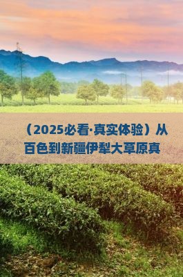 百色到新疆伊犁大草原一日