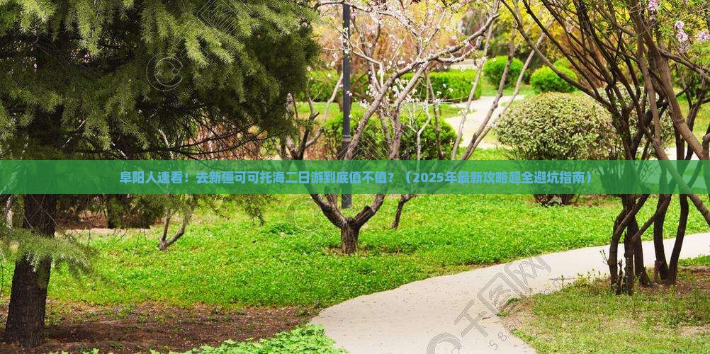 阜阳去新疆可可托海二日游