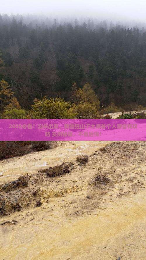 汕头到新疆独山子大峡谷个人游