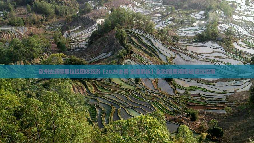 钦州去新疆那拉提团体旅游