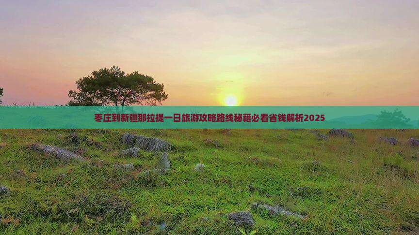 枣庄到新疆那拉提一日 枣庄到新疆那拉提一日