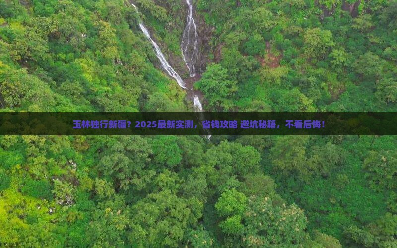 玉林去新疆个人游