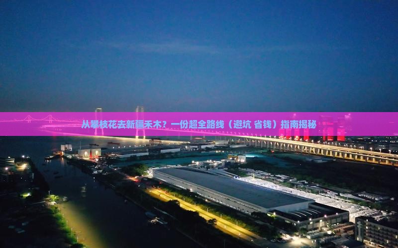 攀枝花到新疆禾木旅行社