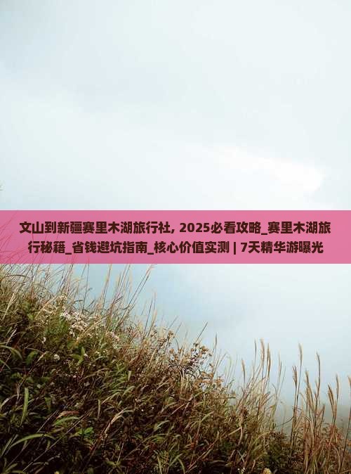 文山到新疆赛里木湖旅行社